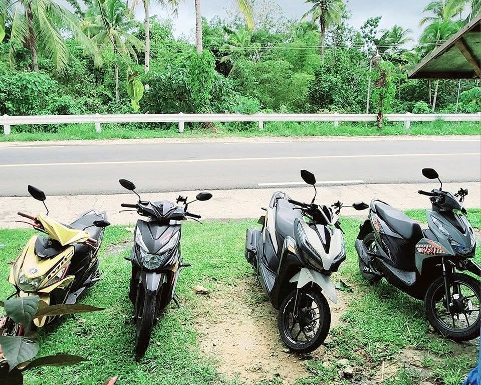 Four rental scooters parked on the grass beside a palm-lined highway